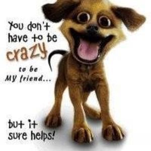 Meet your Posher, Patty